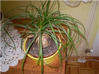 093eed07-Picture 1313.jpg